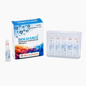 boldarix-3.jpg